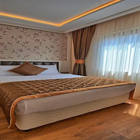 ホテル サミル デラックス 4*