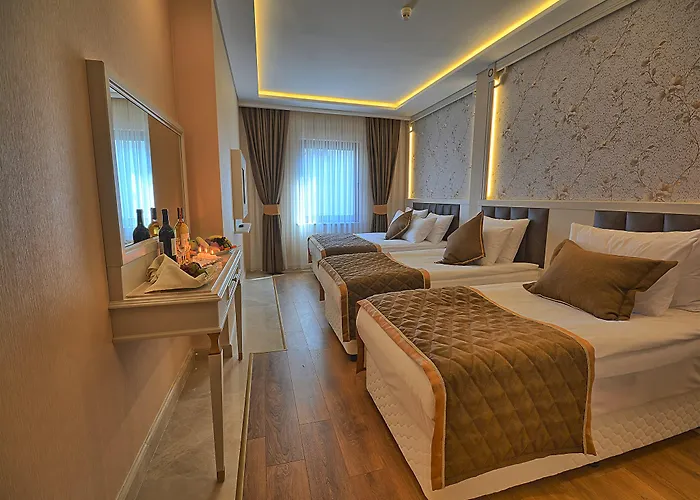 Samir Deluxe Стамбул