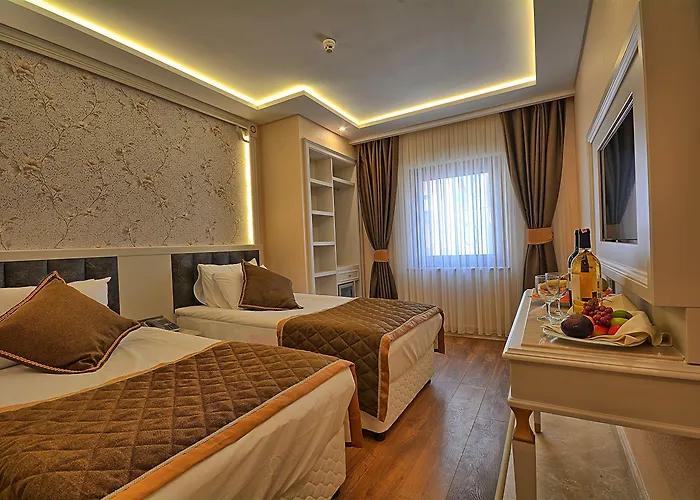 Отель Samir Deluxe