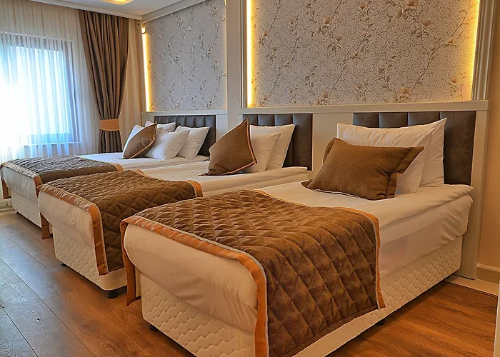 Samir Deluxe Отель Стамбул