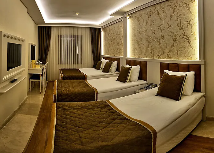 Отель Samir Deluxe